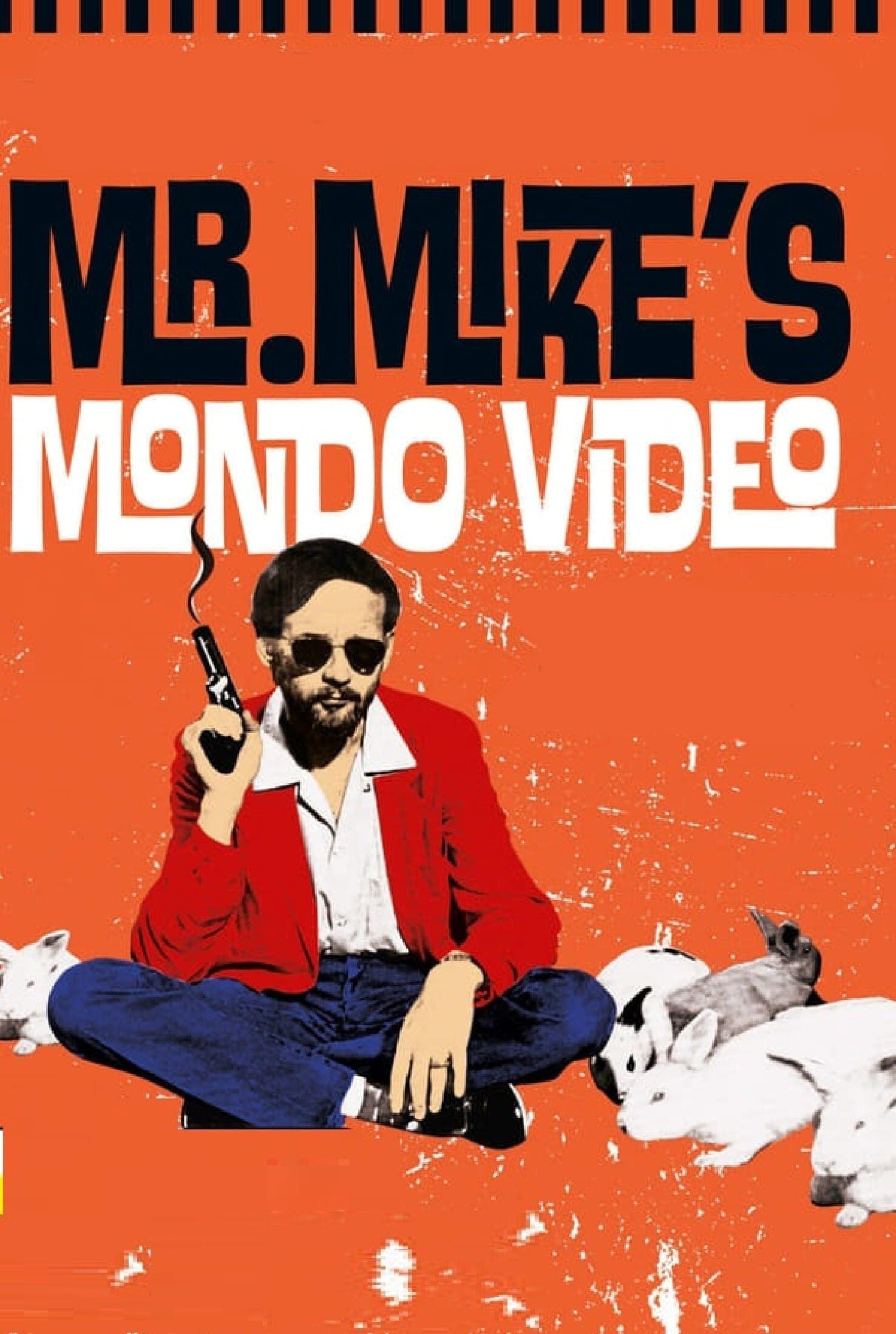 Постер Mr. Mike's Mondo Video